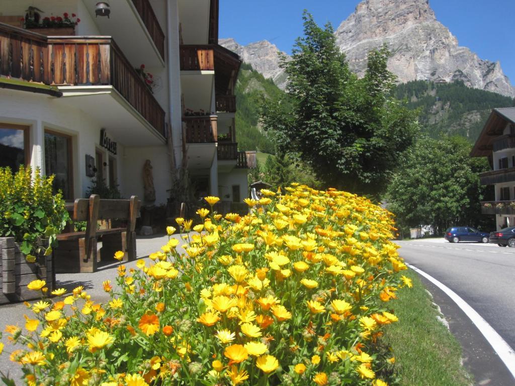 Hotel Borest Colfosco Zewnętrze zdjęcie